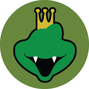 King K. Rool Amiibo Keychain | Super Smash | Teddymuffs Designs