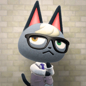 Raymond Amiibo Card | Animal Crossing | Teddymuffs Designs